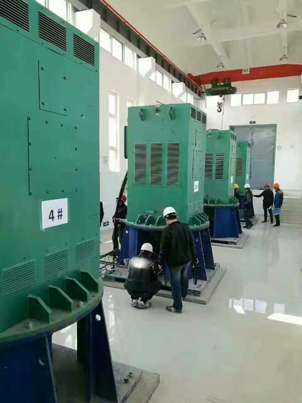 YE5-4001-6某污水处理厂使用我厂的立式高压电机安装现场