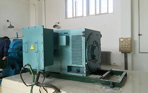 YE5-4001-6某水电站工程主水泵使用我公司高压电机