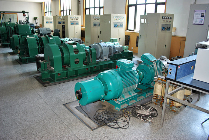 YE5-4001-6某热电厂使用我厂的YKK高压电机提供动力