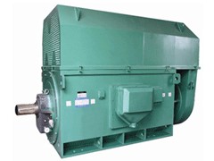 YE5-4001-6YKK系列高压电机
