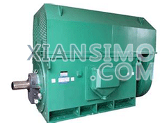 YE5-4001-6YXKK(2极)高效高压电机技术参数