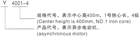 西安泰富西玛Y系列(H355-1000)高压YE5-4001-6三相异步电机型号说明